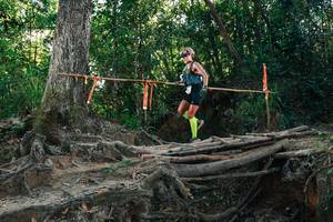 BIB: 
                            <button type="button" onclick="openModal(27751338)" class="btn btn-primary btn-sm float-right btn-popup" data-toggle="modal" data-target=".modal-high-quality">
                        <i class="fas fa-shopping-cart"></i> Add to Cart
                    </button>
                                            <button type="button" onclick="isThisMe(27751338, true)" class="btn btn-success btn-sm float-right btn-popup btn-isme hidden" data-toggle="tooltip" data-placement="bottom" title="นี่คือรูปของคุณใช่ไหม คลิกที่นี่เพื่อเอาเข้าอัลบั้ม">
                        <i class="fas fa-plus"></i> Add to album
                    </button>
                    <button type="button" onclick="isThisMe(27751338, false)" class="btn btn-warning btn-sm float-right btn-popup btn-isnotme hidden">
                        <i class="fas fa-ban"></i> Remove from album
                    </button>